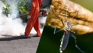 Mosquito & Flying Pest Control